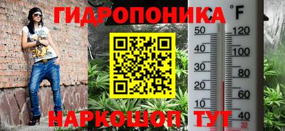 эйфоретик Гатчина