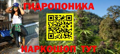 эйфоретик Гатчина