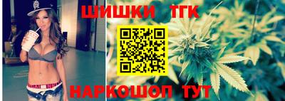 эйфоретик Гатчина