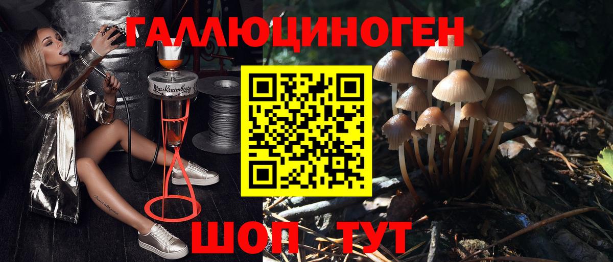 Псилоцибиновые грибы Psilocybine cubensis  купить  сайты  Звенигород  Вход с VPN 